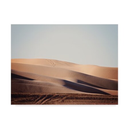 Sylvia Coomes 'Sand Dunes I' Canvas Art,14x19